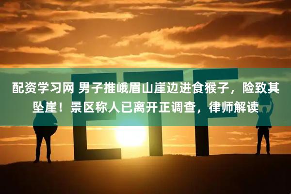 配资学习网 男子推峨眉山崖边进食猴子，险致其坠崖！景区称人已离开正调查，律师解读