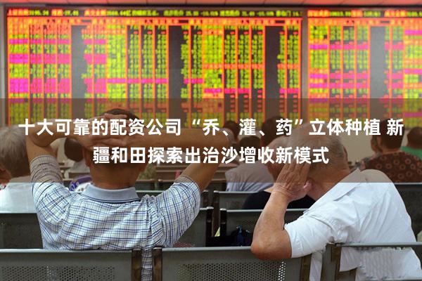 十大可靠的配资公司 “乔、灌、药”立体种植 新疆和田探索出治沙增收新模式